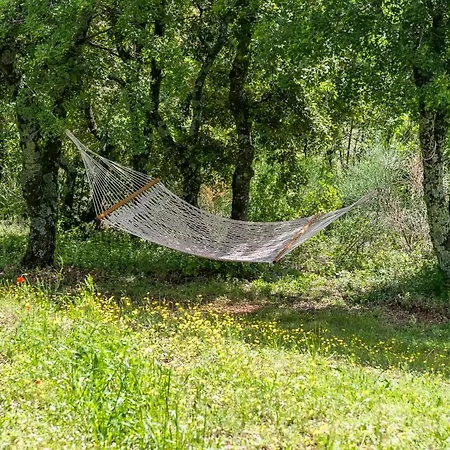 Sleeps 11 With Pool And Wifi Oppedette
