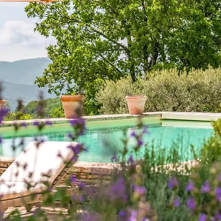 Sleeps 11 With Pool And Wifi * Oppedette